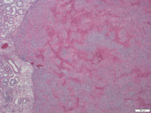 Image 02 (1)